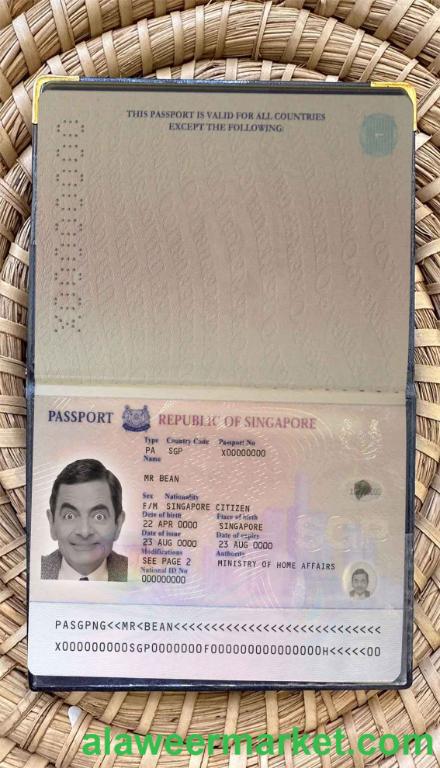 Singapore pass (2006-2017) photo look